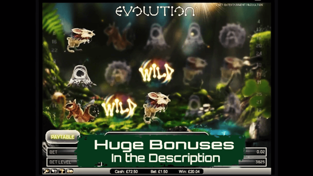 Evolution 3
